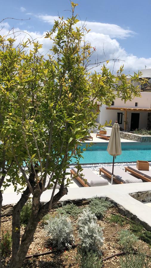 Mykonos Drops Hotel Platys Gialos  Ngoại thất bức ảnh